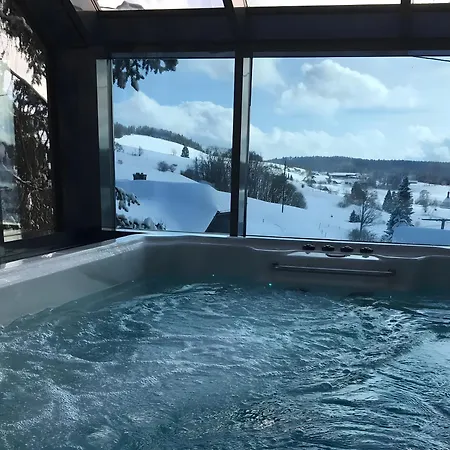 Apartmán Hotzenwald *