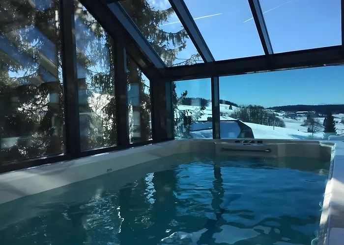 Apartment Hotzenwald Ibach