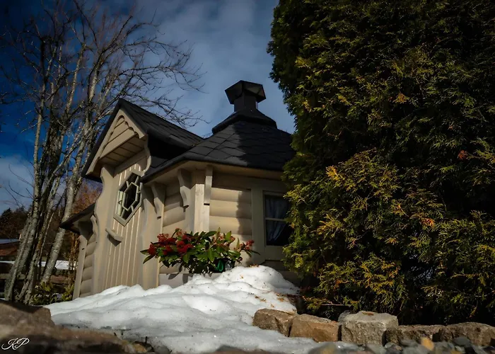 Apartment Hotzenwald Ibach