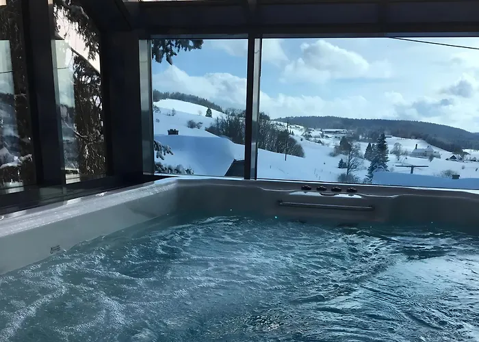 Hotzenwald Apartment