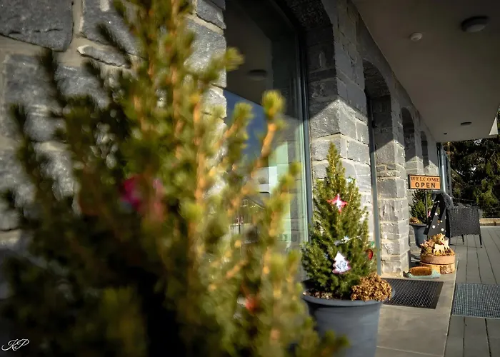 Apartment Hotzenwald *